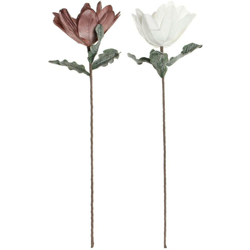 Fiori Decorativi Bianco Rosa EVA (etilvinilacetato) (2 pcs) - Dkd Home Decor características