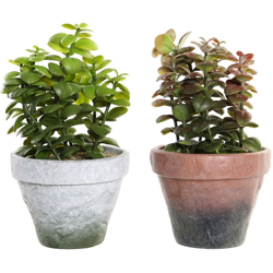 Pianta Decorativa DKD Home Decor Gres Polipropilene (PP) EVA (2 pcs) (16 x 16 x 29.5 cm) en oferta