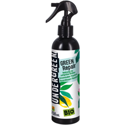 verde in riparazione spray verde 250ml - Compo precio
