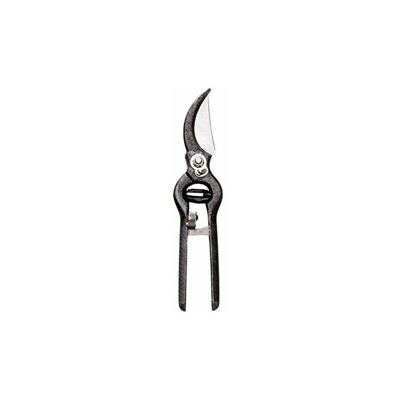 Forbice Vigna Brun.Cm.21 Aus
