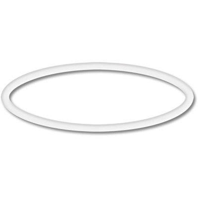 Pezzo di ricambio : O-Ring per la pompa a filtro CUF-2500 - Sunsun