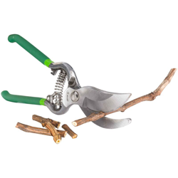 Forbice da giardino potatura in acciaio forgiato mm 250 en oferta