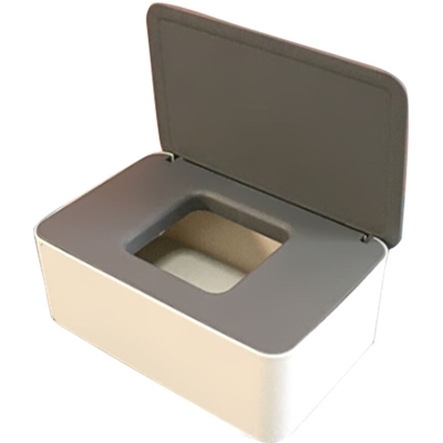 Scatola portaoggetti per maschera usa e getta Scatola per maschera con coperchio antipolvere Custodia in tessuto bagnato con coperchio Portatile per