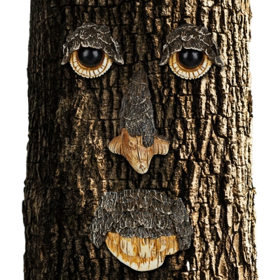 Tree Face, 4 Pezzi, Spirito della Foresta, Resistente a Intemperie, da Appendere al Tronco, Marrone/Beige