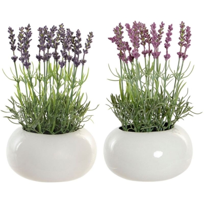 Pianta Decorativa DKD Home Decor Lavanda Rosa Polietilene Dolomite Lilla (17 x 17 x 27 cm) (2 pcs)