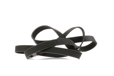 RIDEX Cinghia Poly-V 305P0362  HONDA,INFINITI,CIVIC VIII Hatchback (FN, FK),CR-V III (RE),CIVIC VIII Stufenheck (FD, FA),STREAM,FX,EX Schrägheck (J50)