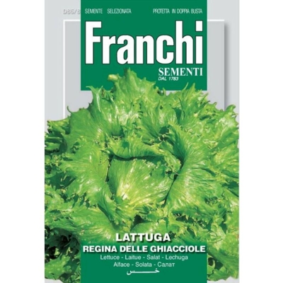 Semi ortofrutta 'Lattuga regina delle ghiacciole' 3 pz.