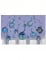 12 Sospensioni a spirale battle royal en oferta