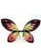 Ali di farfalla colorate ragazza en oferta