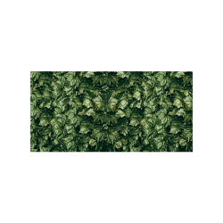 Arella Finta Siepe Alloro Arella Finta Siepe Mt.1,5X3 Alloro | Pz precio