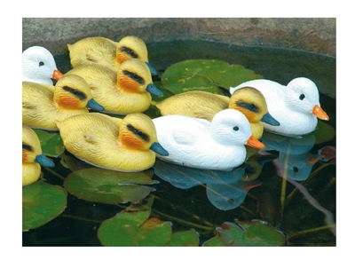 Decorazioni animali anatroccoli gialli