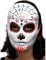 Maschera adulto dia de los muertos en oferta