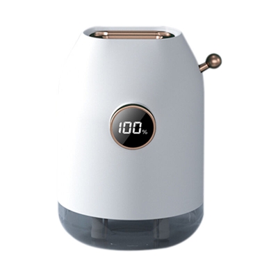 spruzzo doppia porta umidificatore / 500 ml / Tipo C disegno di carico di ingresso / disegno rumore bianco