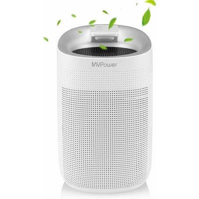 2-in-1 Deumidificatore e Purificatore d'Aria 1000 ml, 750ml/24h, Deumidificatore Ambiente Casa Con Filtro HEPA, A Prova di Umidità, Anti-Muffa e
