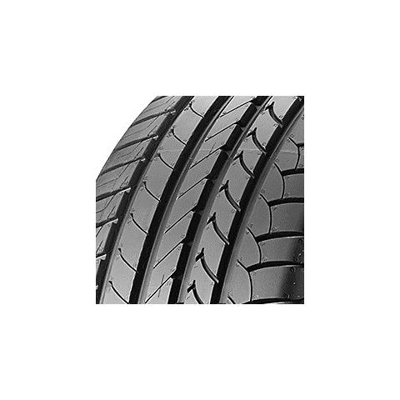 Efficientgrip (205/60 R16 92h)