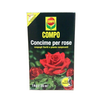 ROSE CONCIME KG.1 - Compo