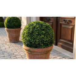 Sfera Sintetica - Bosso Diametro 38 Cm Per Interno Esterno Giardino, Portico, Ristorante, Gelateria Bar Hotel Albergo Piscina en oferta