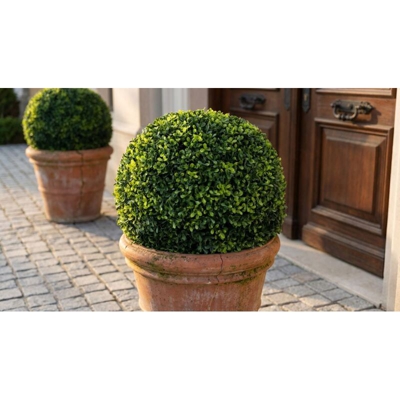 Sfera Sintetica - Bosso Diametro 38 Cm Per Interno Esterno Giardino, Portico, Ristorante, Gelateria Bar Hotel Albergo Piscina
