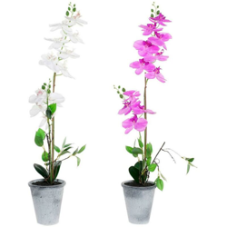 Pianta Decorativa DKD Home Decor Bianco Stoffa Gres Lilla (2 pcs) precio