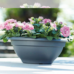 Vaso ciotola torino bowl cm 50 antracite - Elho precio