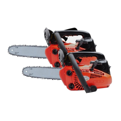 Doppia/2 pezzi Motosega per potatura 25cc (254cc) lama 25cm en oferta