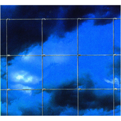 Rete per pecore 120x9x15 mt.50 a forte zincatura - Salone precio