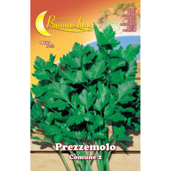 Hortus Sementi - SEMI ORTO PREZZEMOLO COMUNE 2 características