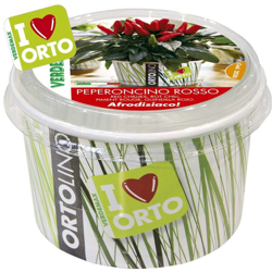 Ortolino Peperoncino Rosso características