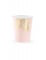 6 Bicchieri in cartone tropical rosa e dorati 220 ml características
