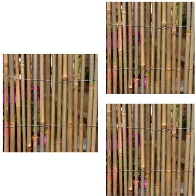 Arella bamboo naturale canna grossa stuoia legata con filo di ferro pezzi 3 da metri 1x3