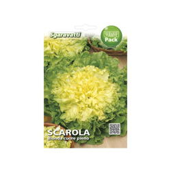Busta Semi Orto Scarola Bionda Cuore Pieno - Sgaravatti características