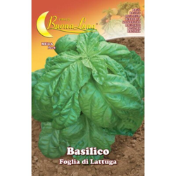 Hortus Sementi - SEMI ORTO BASILICO FOGLIA LATTUGA precio