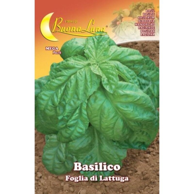 Hortus Sementi - SEMI ORTO BASILICO FOGLIA LATTUGA