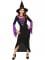 Costume da strega nera e viola per halloween características