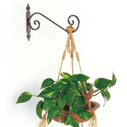 Portavaso Cm.19 Argento | Pz características