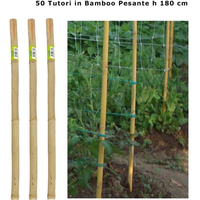 50 tutori per piante canna bamboo pesante altezza 180 cm diametro 22-24 mm - Verdemax