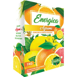 concime granulare lenta cessione per agrumi 1 kg vir 1700712 precio