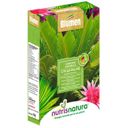NUTRIS NATURA CYCAS 1 KG - Blumen precio