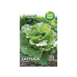 Busta Semi Orto Lattuga Canasta - Sgaravatti características