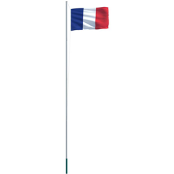 vidaXL Bandiera con Pennone in Alluminio 6,2 m della Francia características