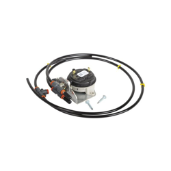 Interrupteur de vérification de l'air - AOSMITH : 0309169(S) precio