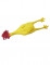 Pollo in caoutchouc