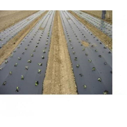 Biotelo per pacciamatura 1mt x 100mt 15 micron biodegradabile precio