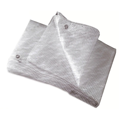 Telo leno trasparente con rete (2x3 mt)