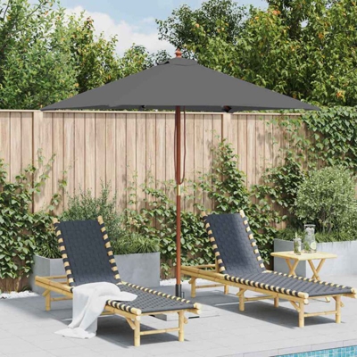 Ombrellone da Esterni con Palo in Legno 150x200 cm Antracite - Antracite - Vidaxl
