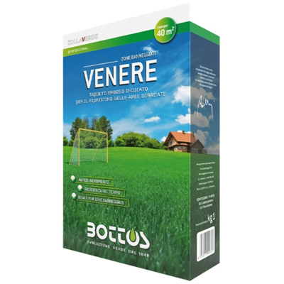 VENERE Semi professionali tappeto erboso prato ZONE DIRADATE da 1 KG - Bottos