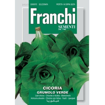 Semi ortofrutta 'Cicoria grumolo verde' 3 pz.