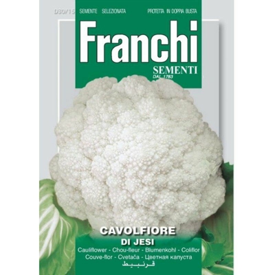 Semi ortofrutta 'Cavolfiore di Jesi' 3 pz.