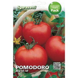 Busta Semi Orto Pomodoro ACE 55 - Sgaravatti características