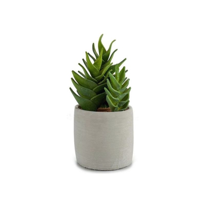 Ibergarden - Cactus Plastica Cactus (12 x 24 x 12 cm)